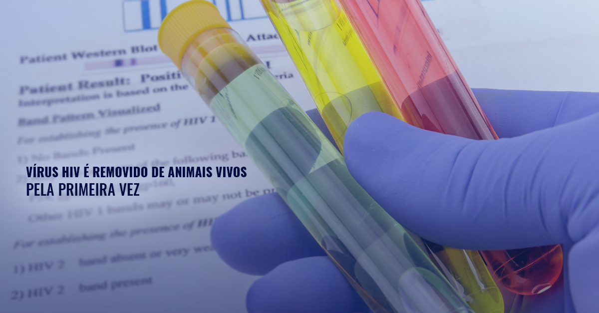 Tratamento para AIDS: vírus HIV é removido de animais vivos pela primeira vez