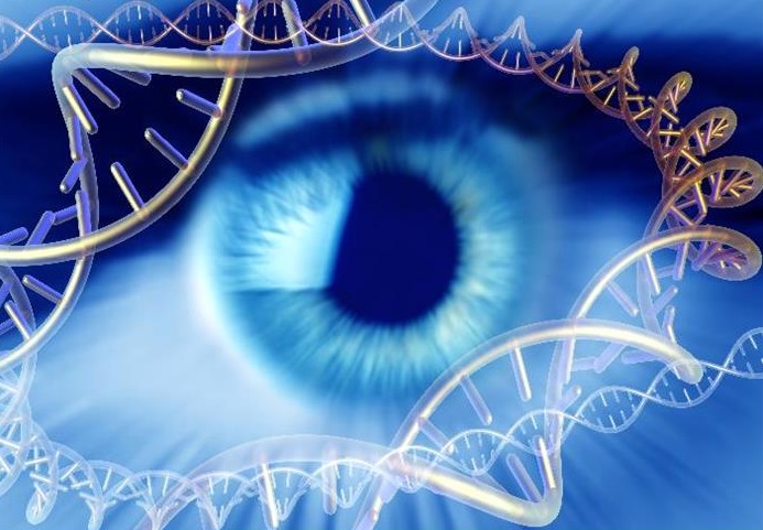 Testes genéticos permitem analisar predisposição para o câncer de mama e outras doenças