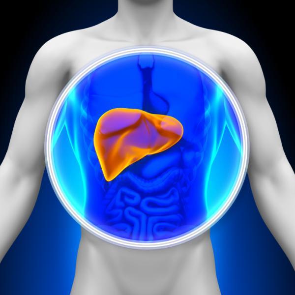 Carcinoma Hepatocelular, o tipo mais comum de câncer no fígado